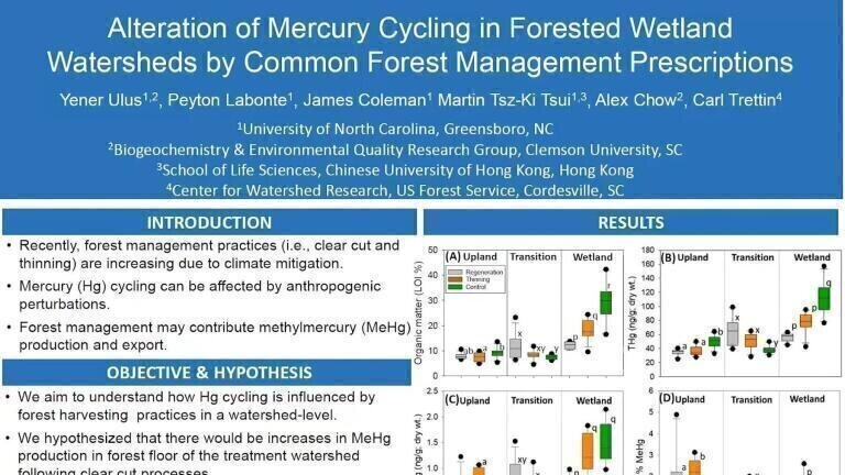 Alteration of Mercury Cycling in Forested Wetland Watersheds by Common Forest Management Prescriptions
